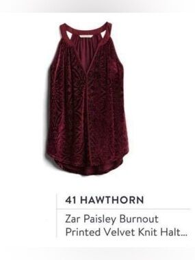 41 Hawthorn Zar Paisley Printed Velvet Knit Halter